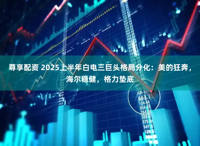 尊享配资 2025上半年白电三巨头格局分化：美的狂奔，海尔稳健，格力垫底